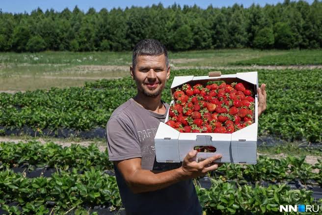 Farmers caring for healthy organic soil