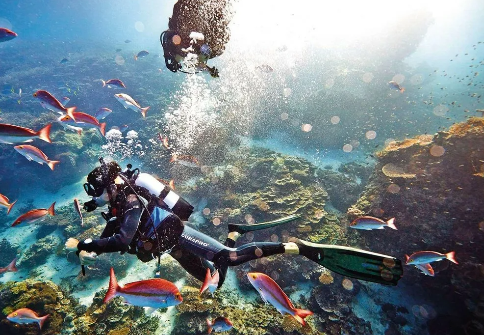Eco dive boat preparing for reef cleanup