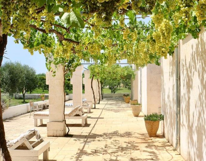 Fountain and formal beds in a Champagne château courtyard