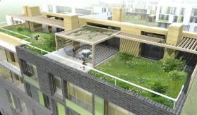 Elegant Paris rooftop garden with layered planting