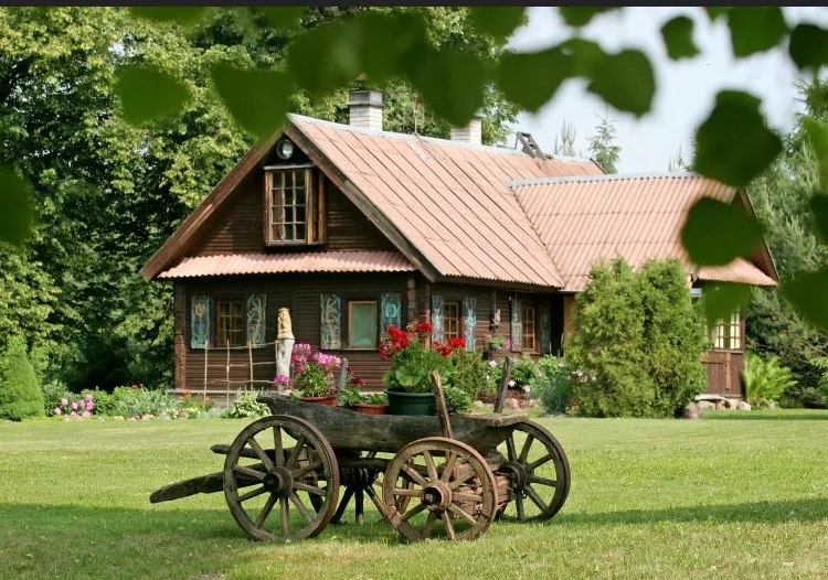 Rustic countryside home with warm natural interior style